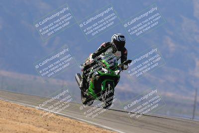 media/Nov-11-2023-SoCal Trackdays (Sat) [[efd63766ff]]/Turn 8 Set 2 (1040am)/